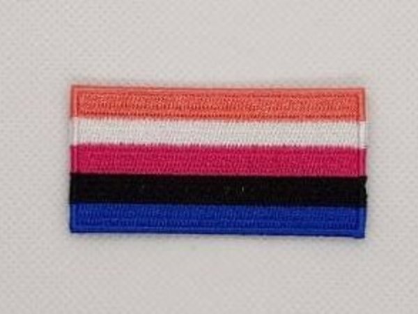 Gender Fluid LGBT Pride Flag Patch Embroidered Iron On Badge Applique C/P