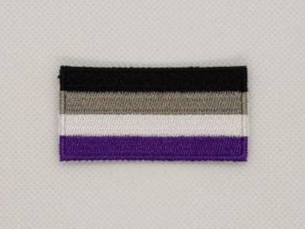 Asexual LGBT Pride Flag Patch Embroidered Iron On Badge Applique C/P