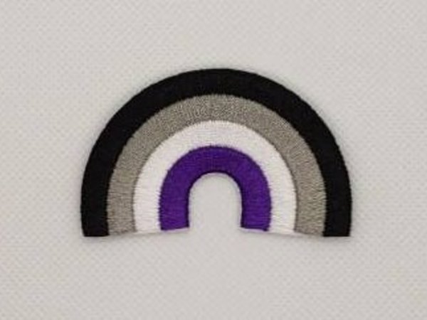 Asexual Rainbow LGBT Pride Patch Embroidered Iron On Badge Applique C/P