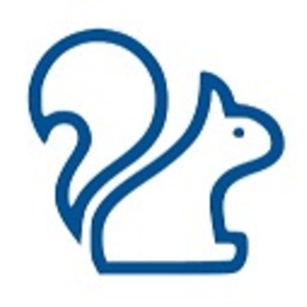 Patches