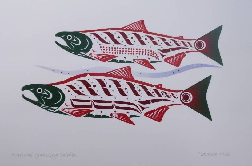 Natural Spawning Sockeye by Clarence Mills Haida Artist 6"x9" art card