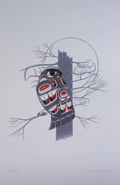 Owl Tree by Richard Shorty Northern Tutchone Yukon Artist 6"x9" Art Card