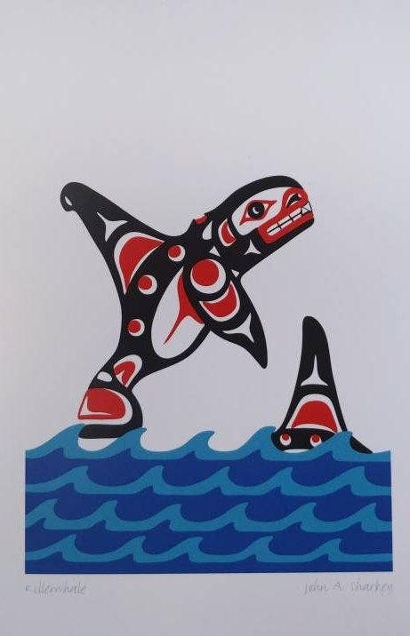 Killer Whale by John A Sharkey Coast Salish Artist 6"x9" Art Card