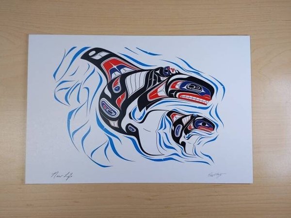 New Life - Killer Whale and Young by Richard Shorty Northern Tutchone Yukon Artist 6"x9" Art Card
