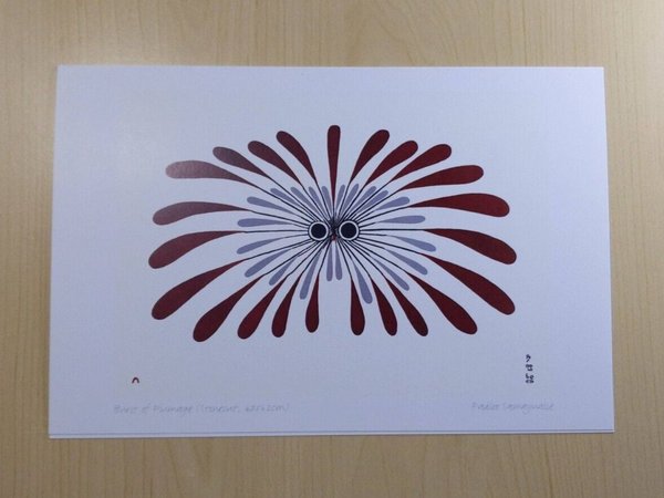 Burst of Plumage by Padloo Samayualie Inuit Artist 6"x9" Art Card