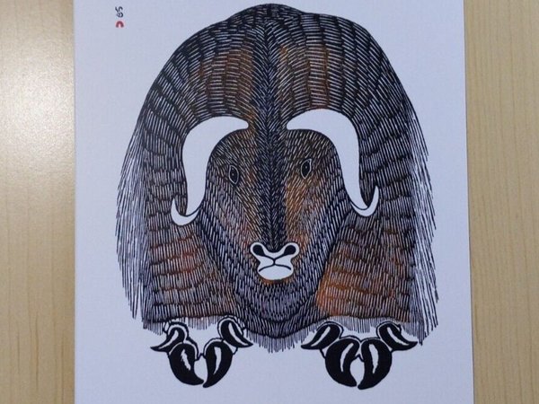Humongous Musk Ox Omingmungjuaq by Kananginak Pootoogook Inuit Artist 6"x9" Art Card